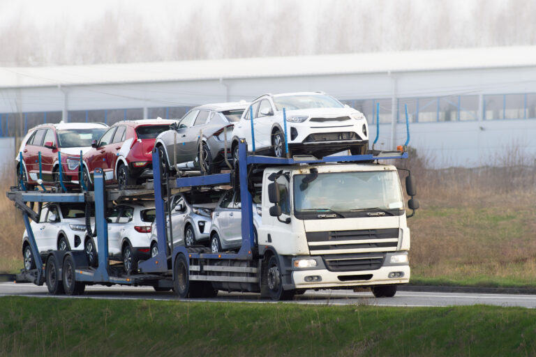 Donec tincidunt turpis ligula, in&nbsp;vulputate purus sodales sed.