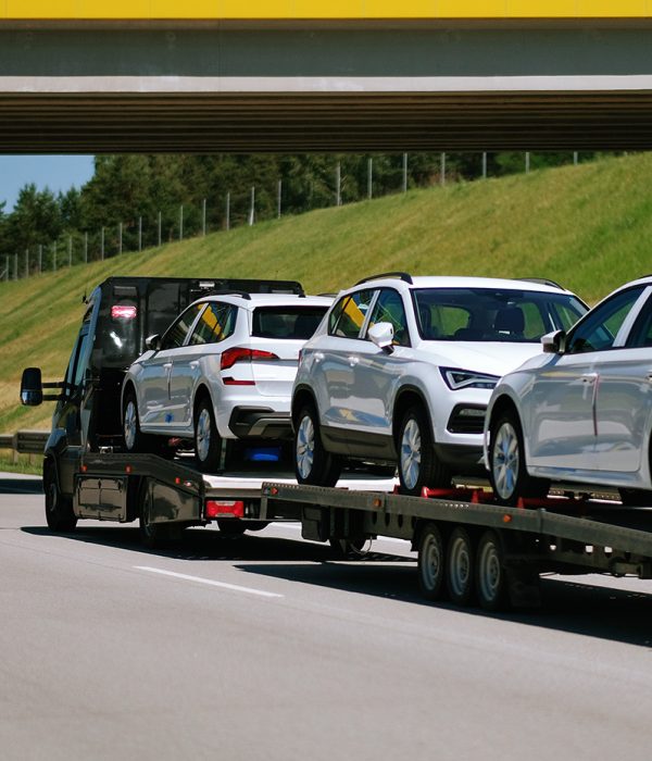 utility-vehicle-truck-car-carrier-international-dealership2